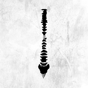 我爱搞,52g无码网站
