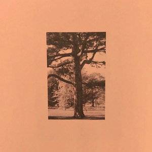 我爱搞,52g无码网站
